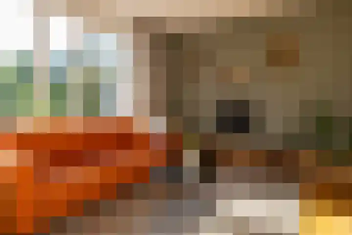 Hoefslag 15 Hulshorst thumbnail 11