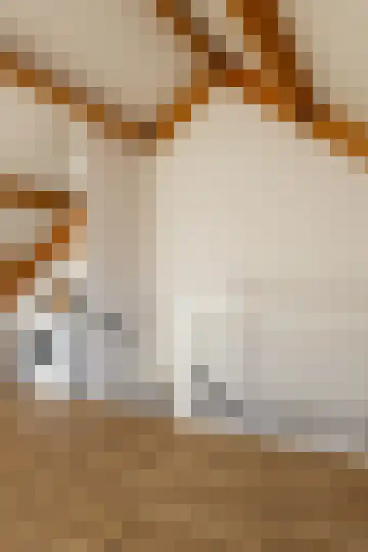 Hoefslag 15 Hulshorst thumbnail 33