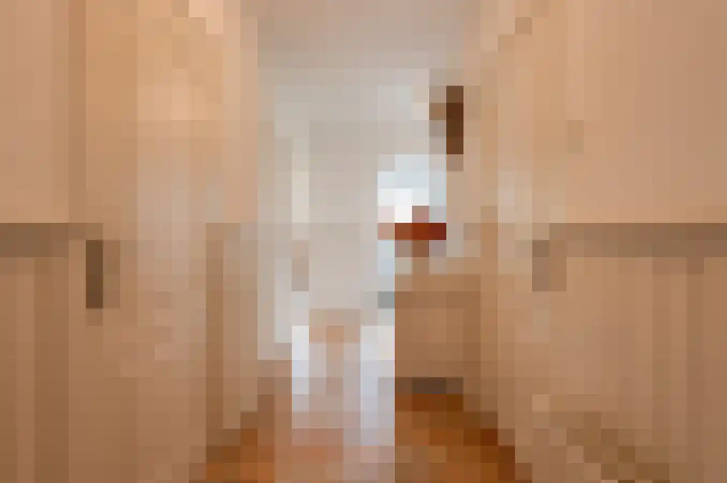Hoefslag 2 Almkerk thumbnail 16