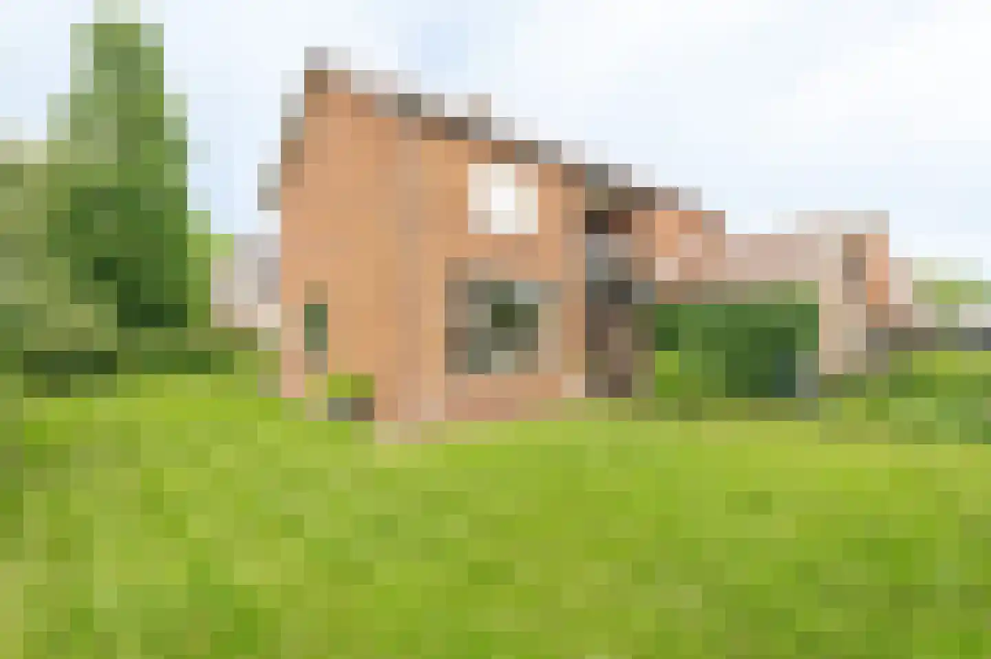 Hoefslag 2 Almkerk foto 2