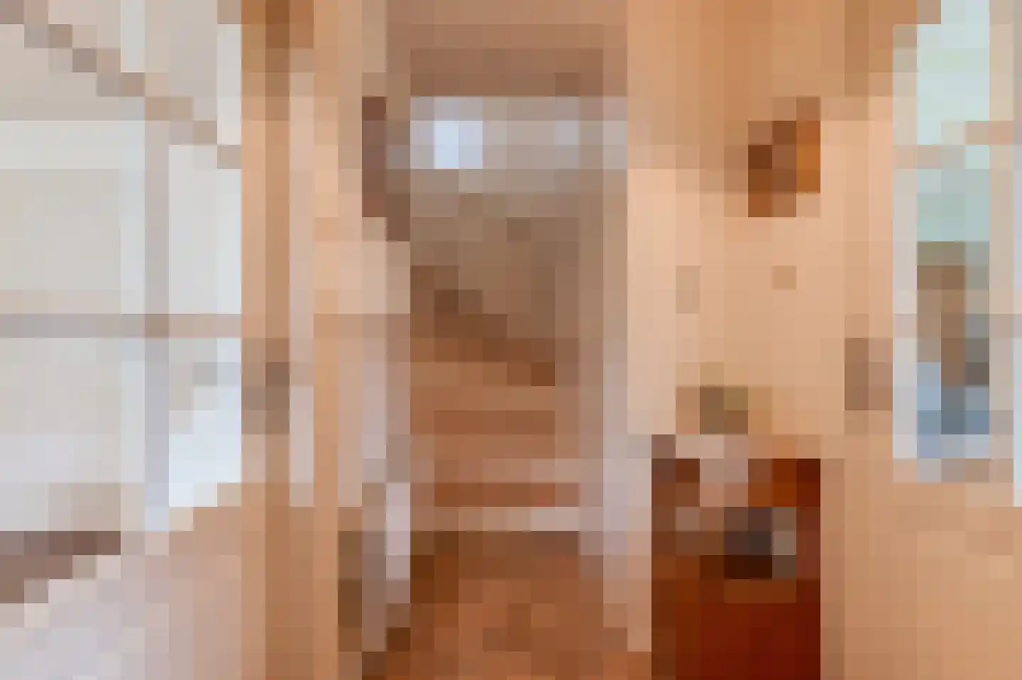Hoefslag 2 Almkerk thumbnail 24