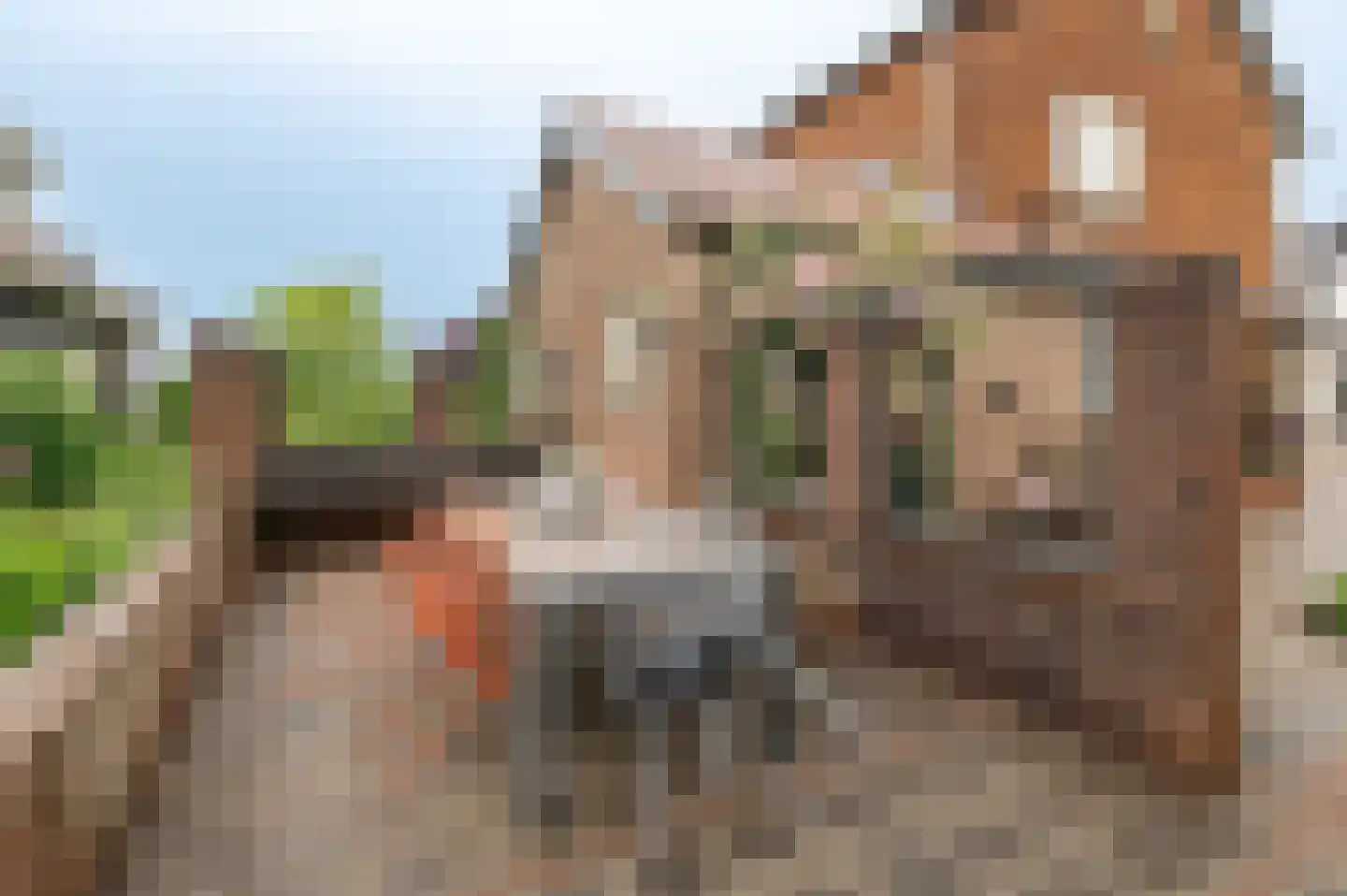 Hoefslag 2 Almkerk thumbnail 43