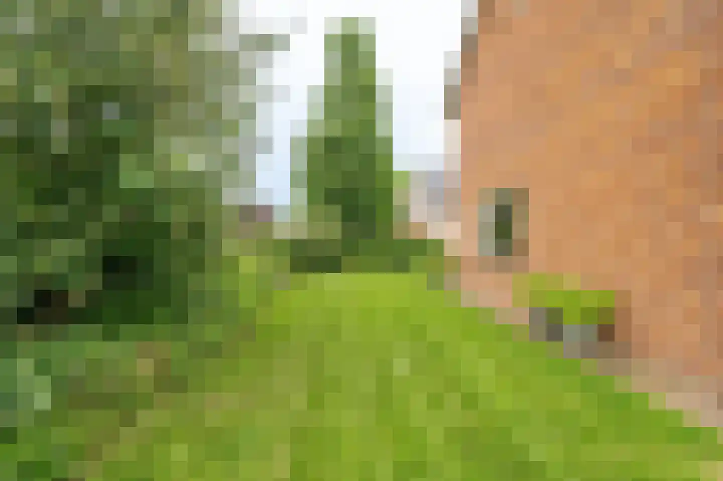 Hoefslag 2 Almkerk thumbnail 44