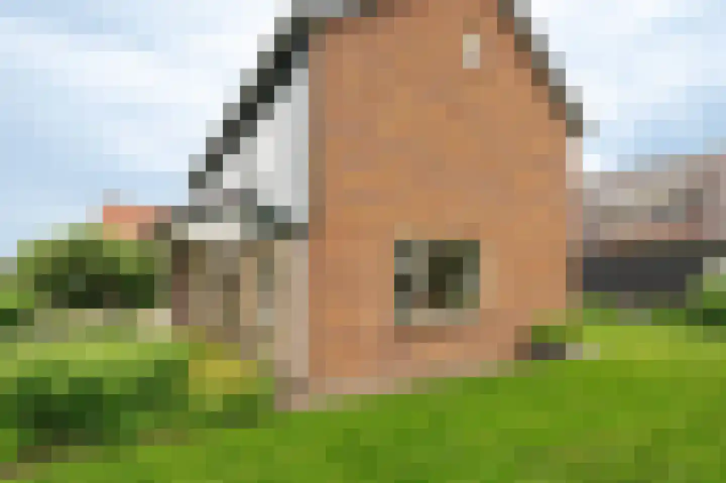 Hoefslag 2 Almkerk thumbnail 45