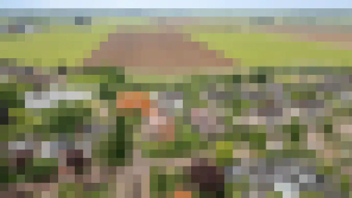 Hoefslag 2 Almkerk thumbnail 51