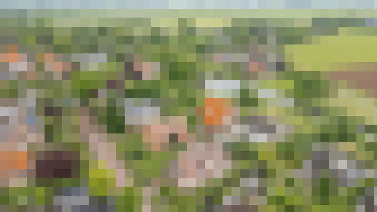 Hoefslag 2 Almkerk thumbnail 52
