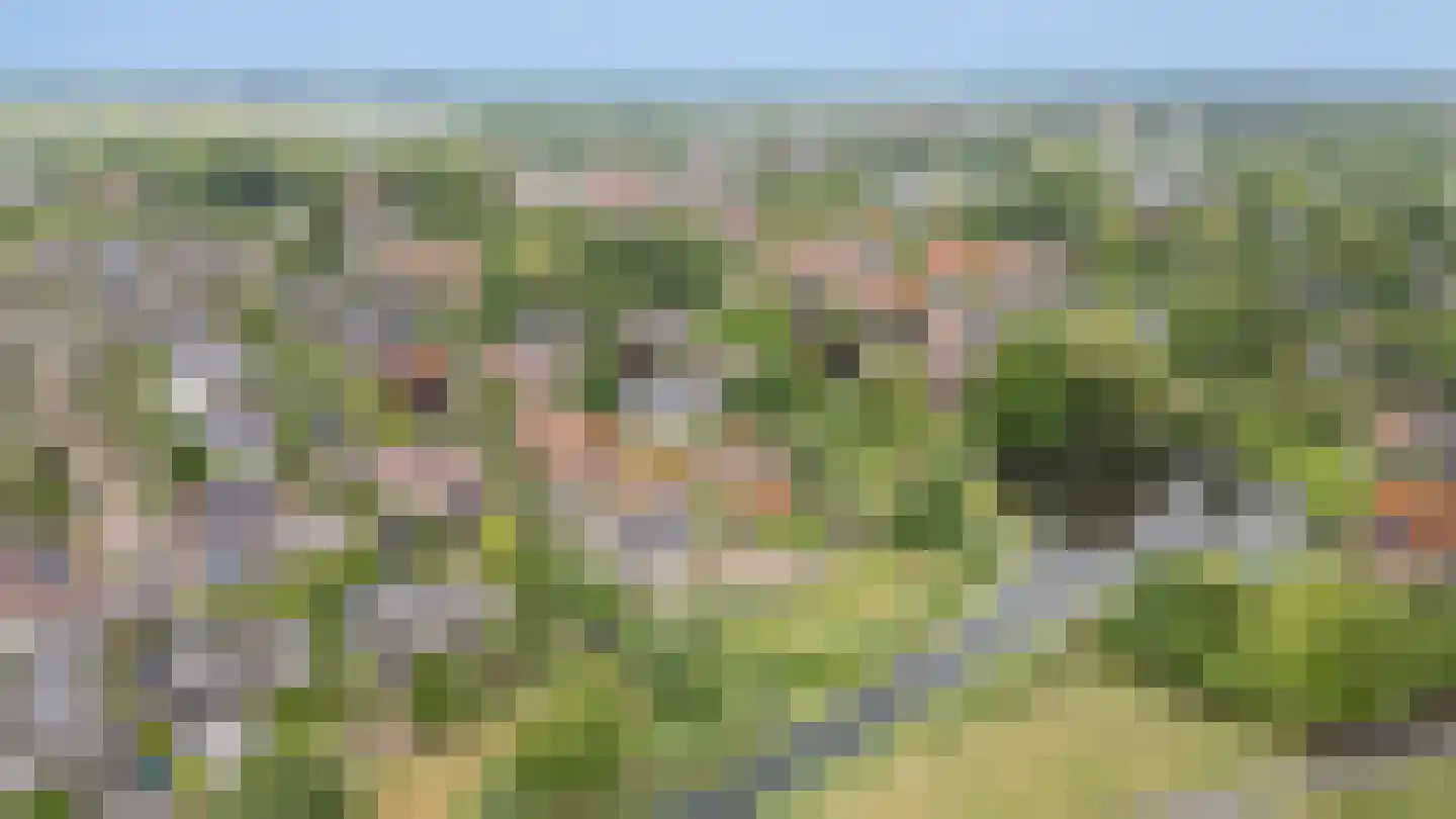 Hoefslag 2 Almkerk thumbnail 53