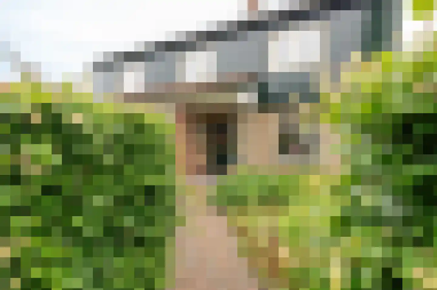 Hoefslag 2 Almkerk thumbnail 6