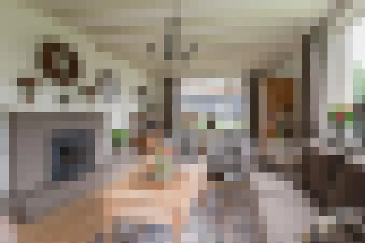 Hoefslag 2 Almkerk thumbnail 8