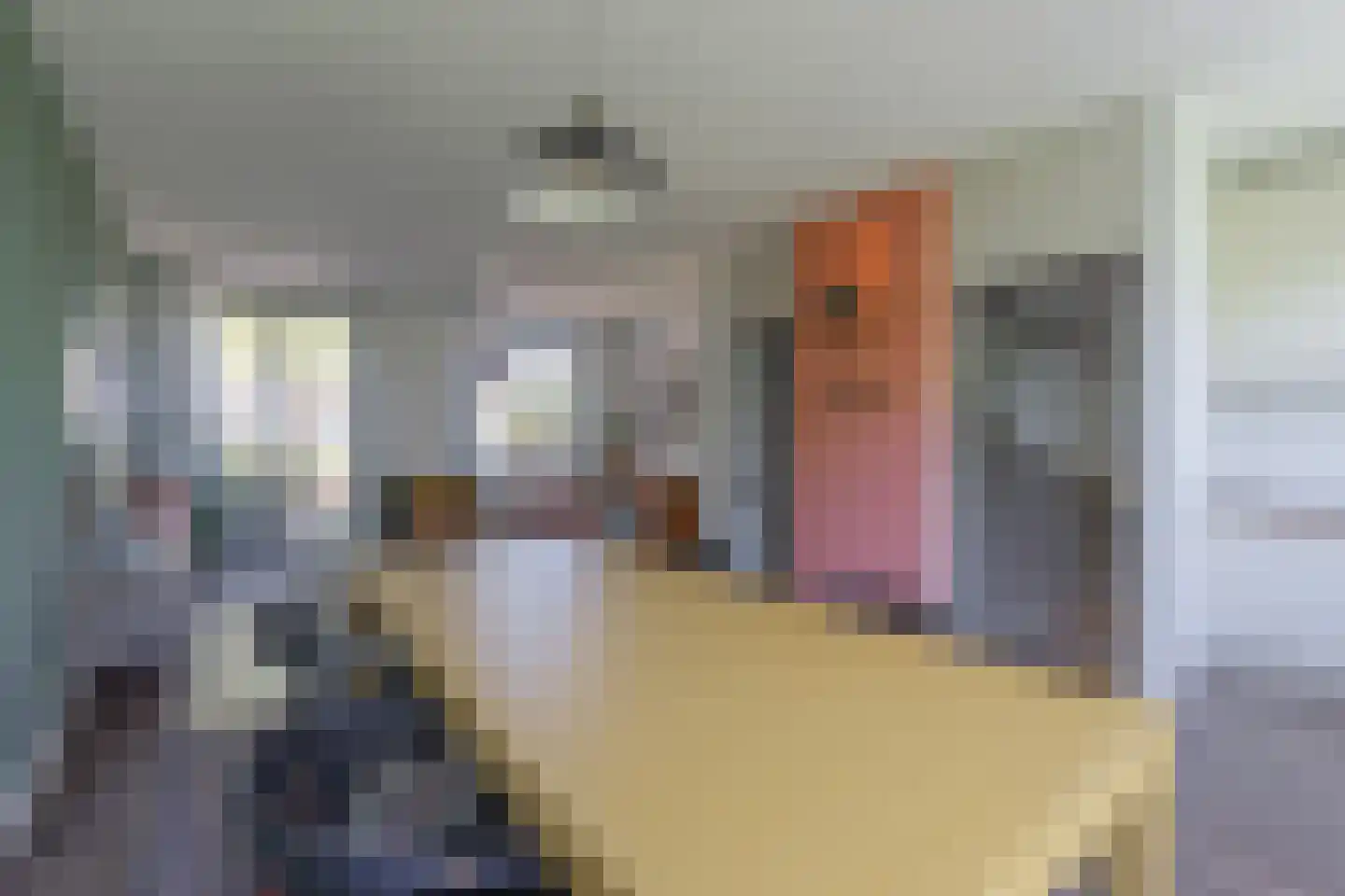 Hoefslag 20 Bemmel thumbnail 17