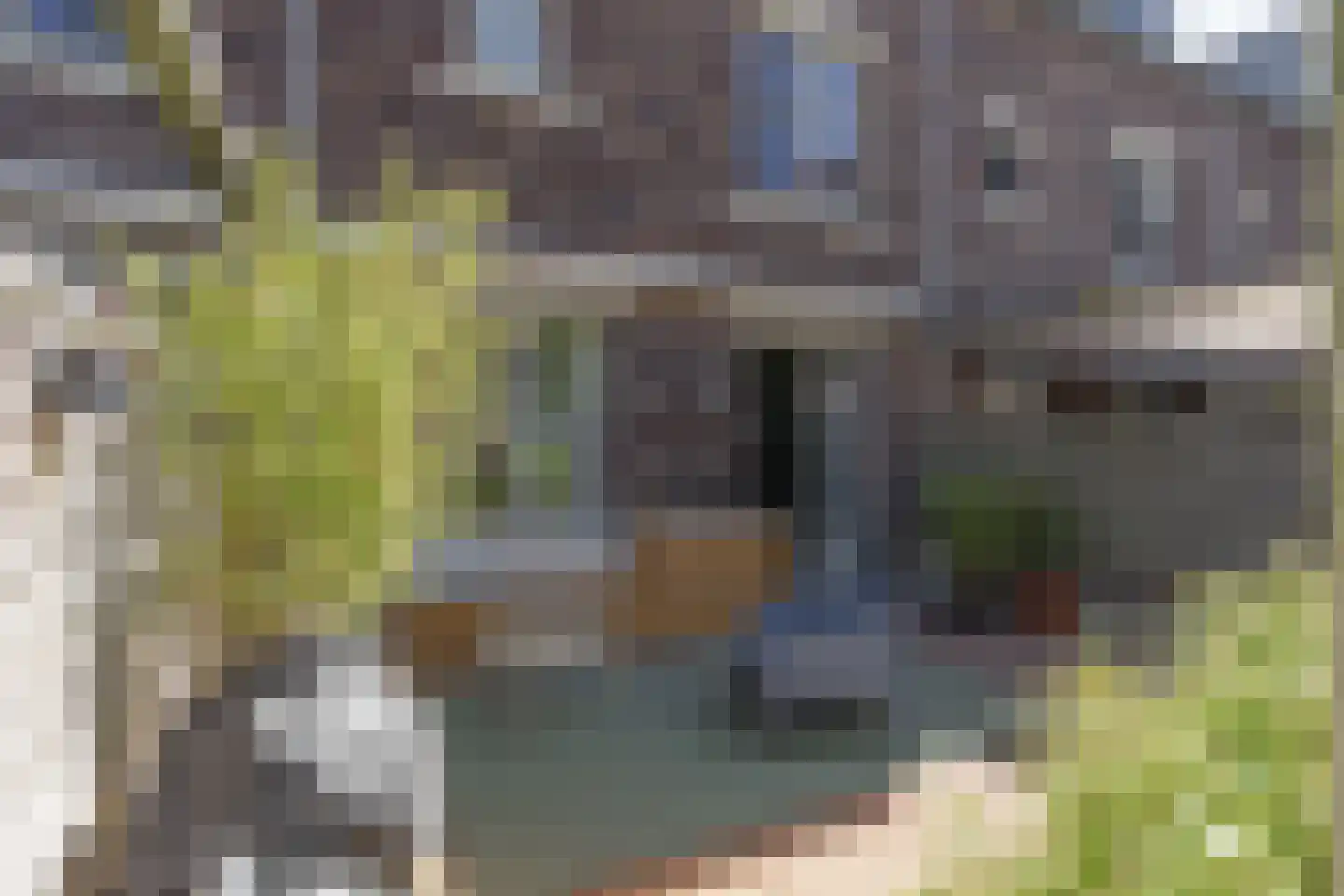 Hoefslag 20 Bemmel thumbnail 23