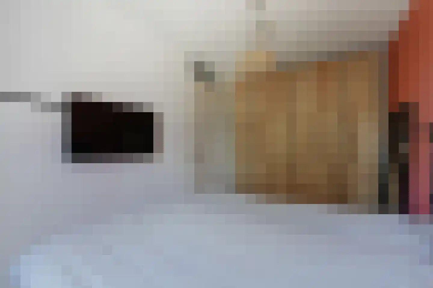 Hoefslag 20 Bemmel thumbnail 28