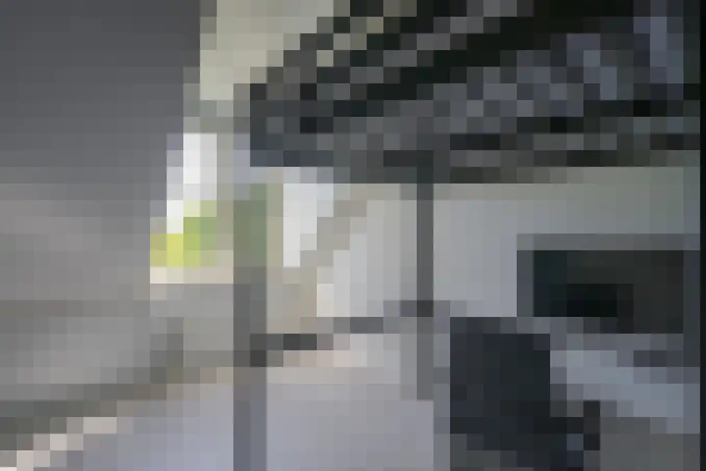Hoefslag 20 Bemmel thumbnail 35