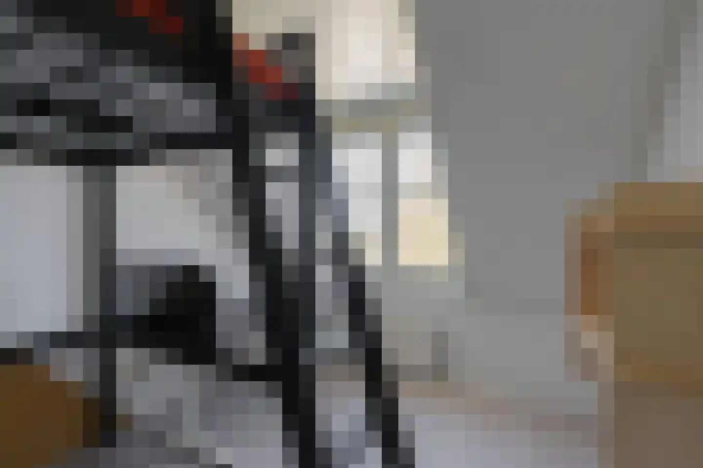 Hoefslag 20 Bemmel thumbnail 37