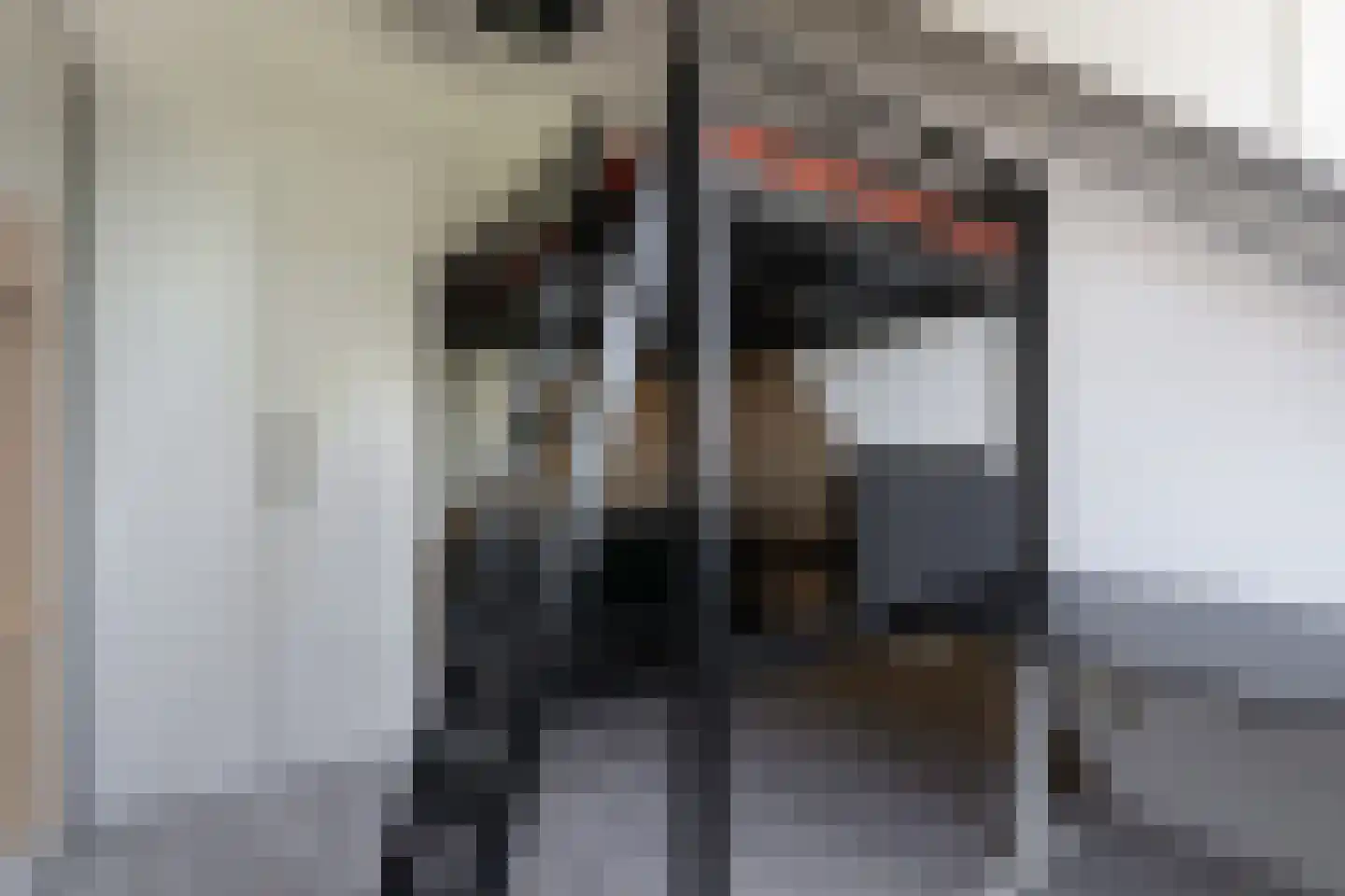 Hoefslag 20 Bemmel thumbnail 38
