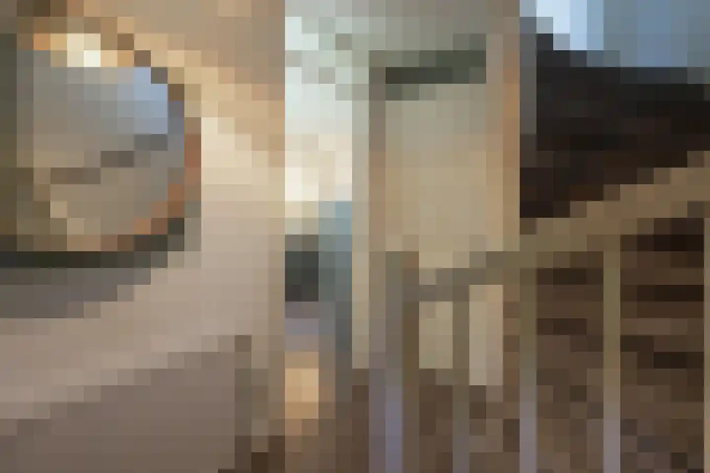 Hoefslag 20 Bemmel thumbnail 6