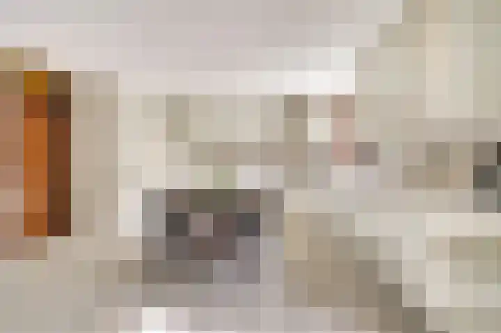 Hoefslag 21 's Gravenmoer thumbnail 23