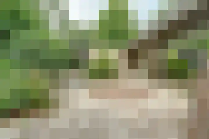 Hoefslag 21 's Gravenmoer thumbnail 38