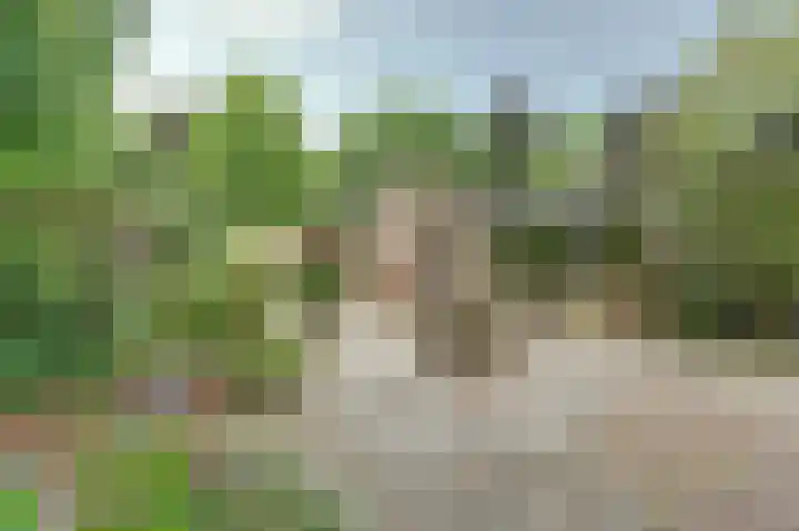 Hoefslag 21 's Gravenmoer thumbnail 39