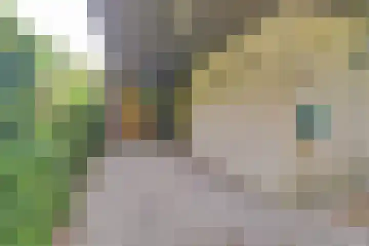 Hoefslag 21 's Gravenmoer thumbnail 4