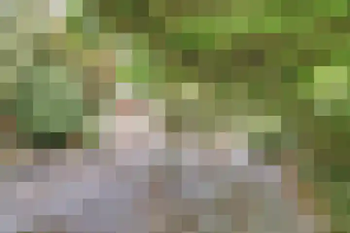 Hoefslag 21 's Gravenmoer thumbnail 41