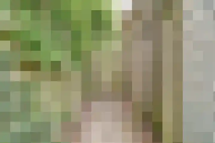Hoefslag 21 's Gravenmoer thumbnail 42