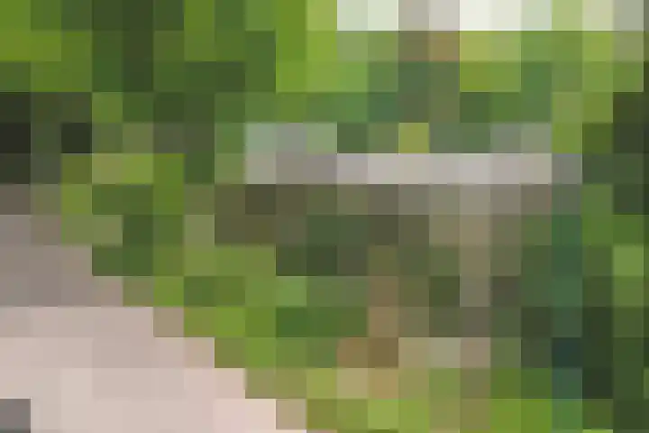 Hoefslag 21 's Gravenmoer thumbnail 47