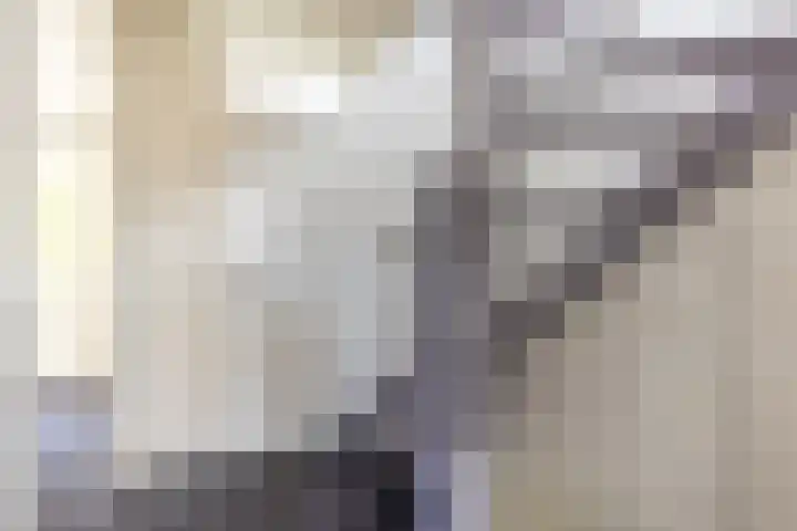 Hoefslag 23 Maasland thumbnail 35