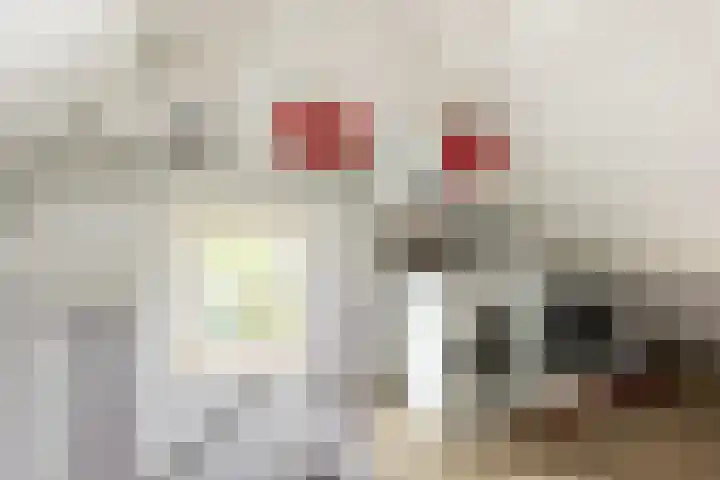 Hoefslag 23 Maasland thumbnail 36