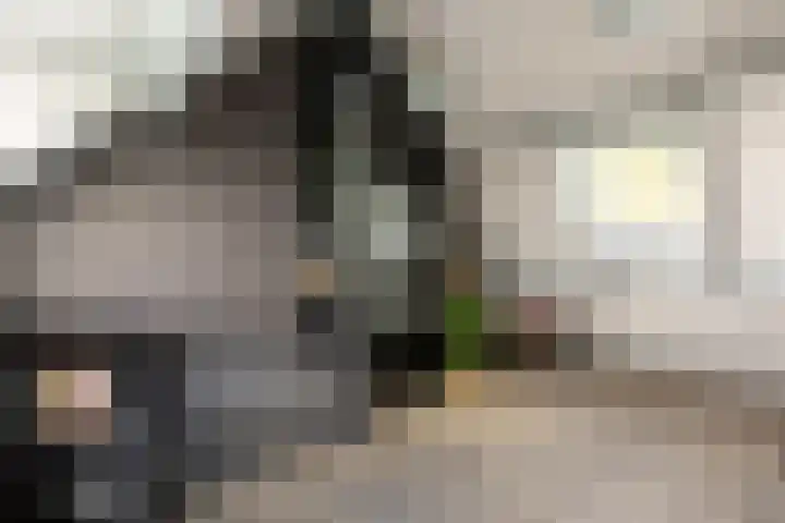 Hoefslag 23 Maasland thumbnail 37