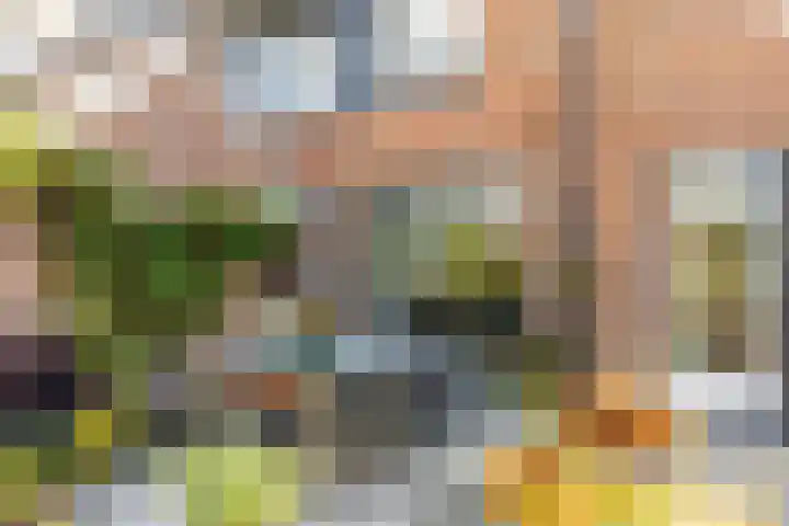 Hoefslag 23 Maasland thumbnail 39