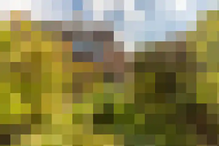 Hoefslag 23 Maasland thumbnail 4