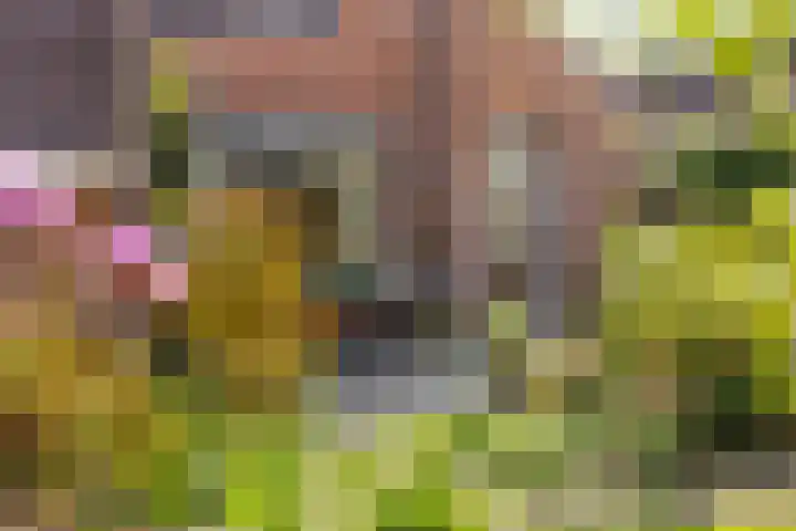 Hoefslag 23 Maasland thumbnail 41