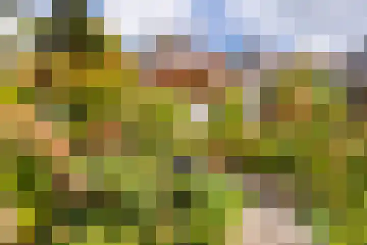 Hoefslag 23 Maasland thumbnail 43
