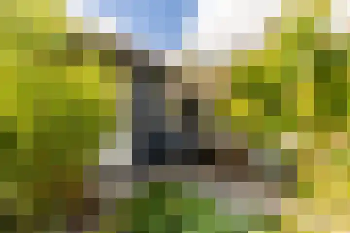 Hoefslag 23 Maasland thumbnail 45