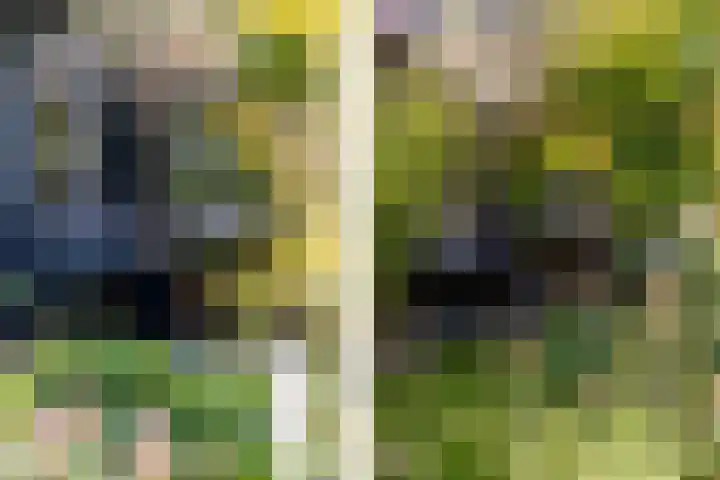 Hoefslag 23 Maasland thumbnail 46