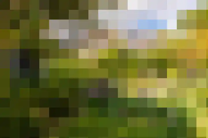 Hoefslag 23 Maasland thumbnail 47