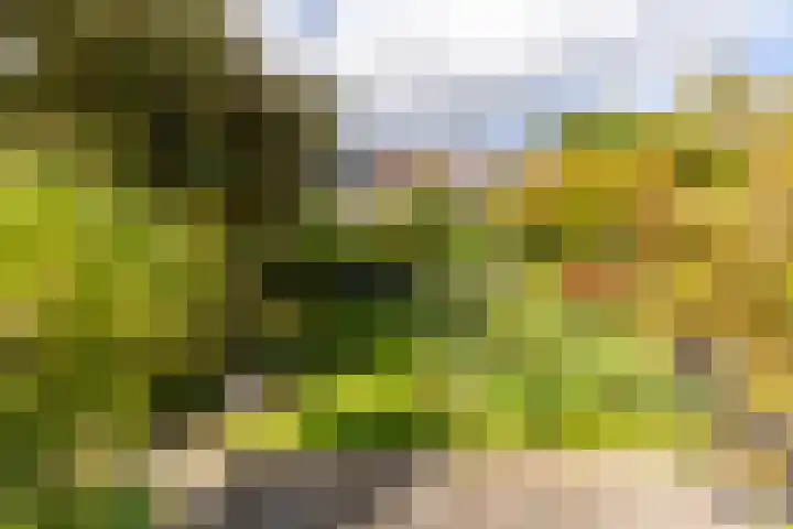 Hoefslag 23 Maasland thumbnail 48