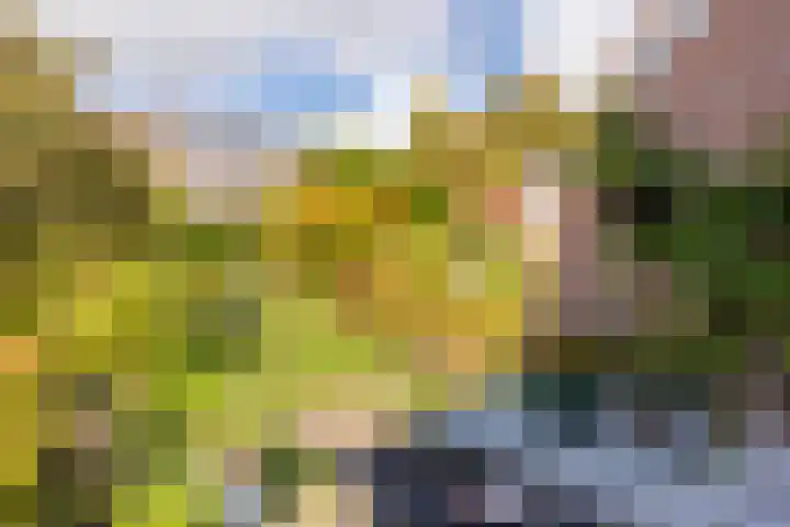 Hoefslag 23 Maasland thumbnail 49