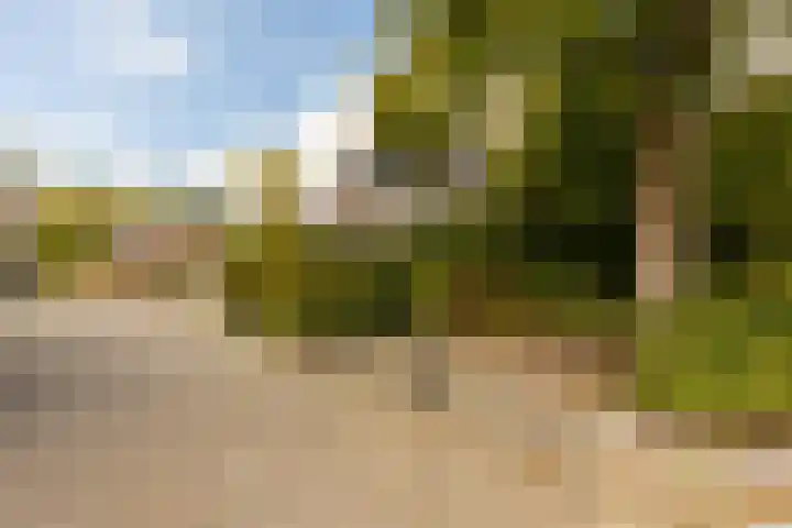 Hoefslag 23 Maasland thumbnail 52