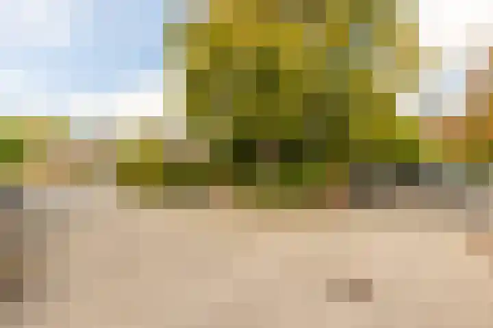Hoefslag 23 Maasland thumbnail 53