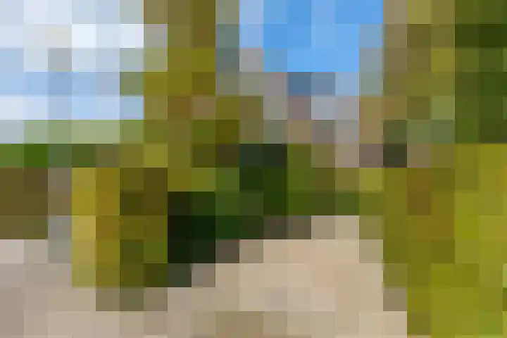 Hoefslag 23 Maasland thumbnail 6