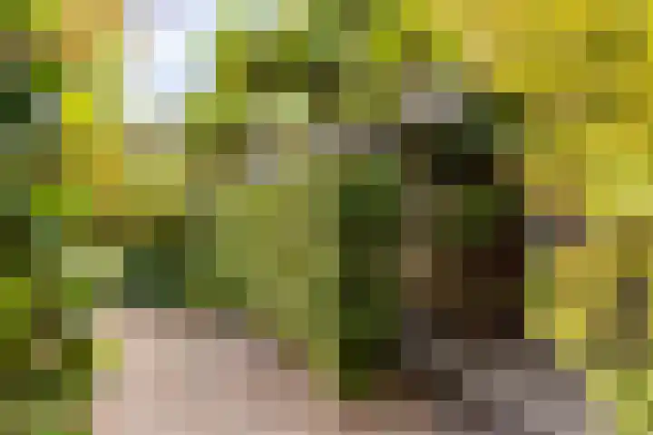 Hoefslag 23 Maasland thumbnail 7