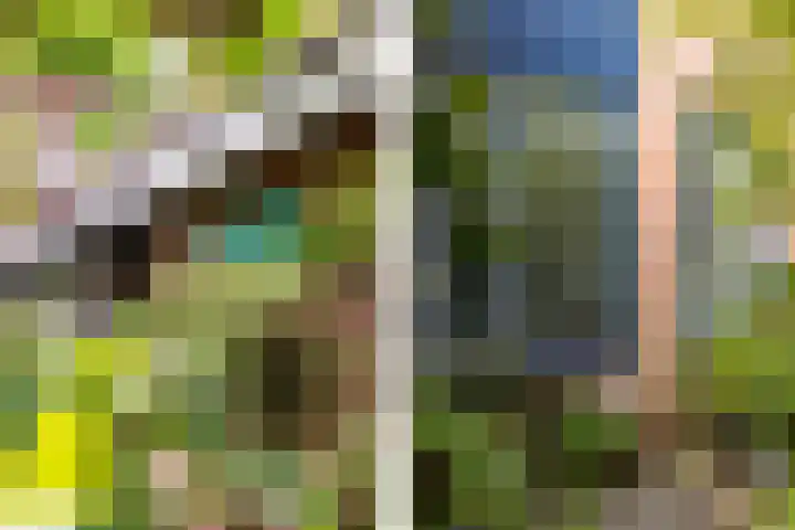 Hoefslag 23 Maasland thumbnail 8