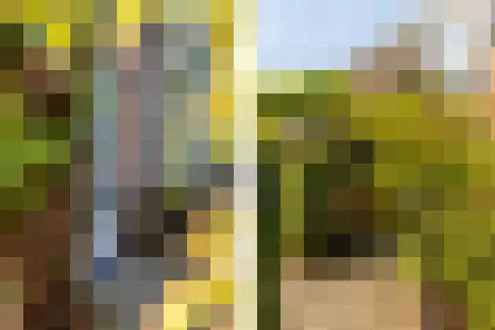 Hoefslag 23 Maasland thumbnail 9