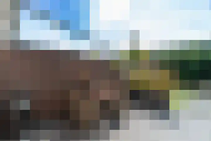 Hoefslag 26 Kamerik thumbnail 27