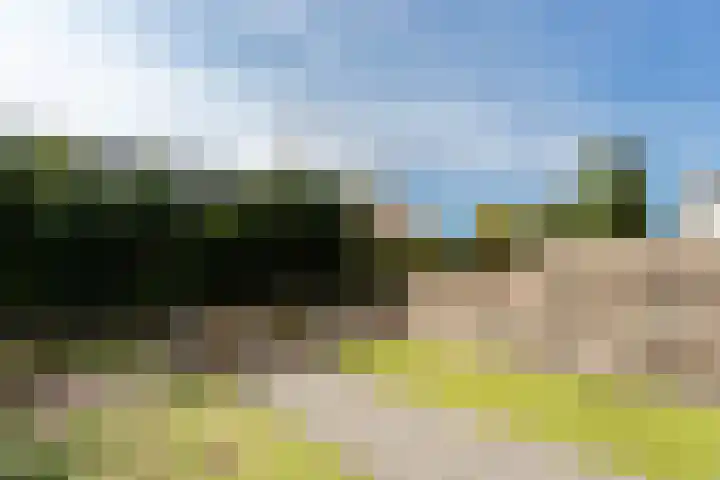 Hoefslag 26 Kamerik thumbnail 29