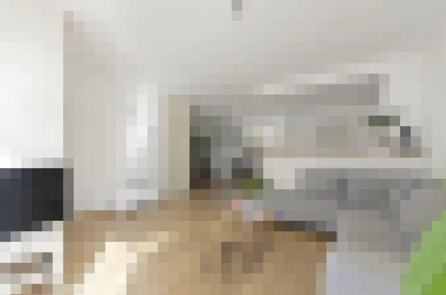 Hoefslag 27 Maasland thumbnail 12