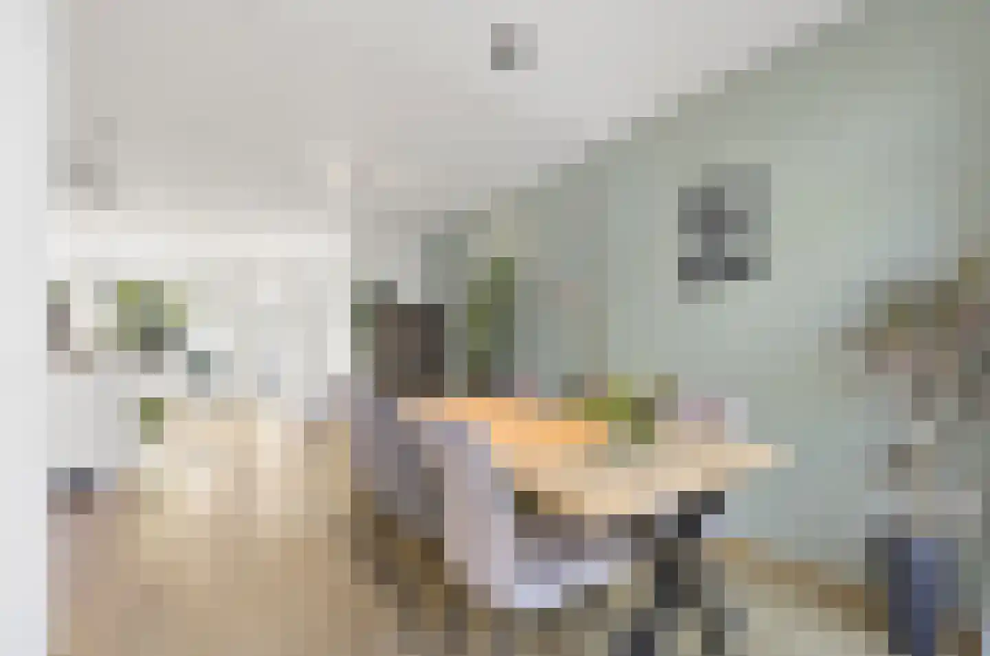 Hoefslag 27 Maasland thumbnail 13
