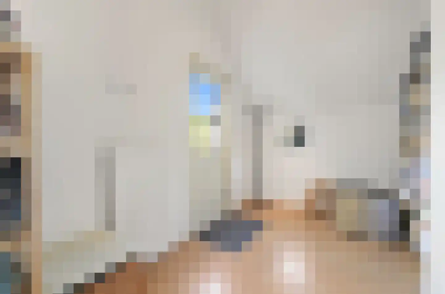 Hoefslag 27 Maasland thumbnail 17